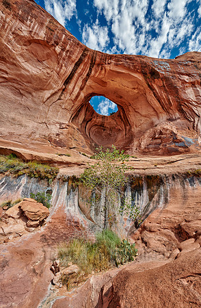 Bowtie Arch