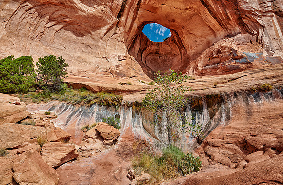 Bowtie Arch