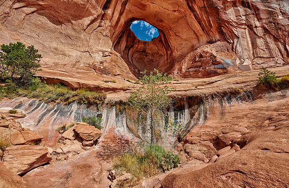 Bowtie Arch
