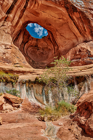 Bowtie Arch