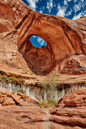 Bowtie Arch