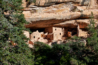 Spruce Tree House, Cliff dwellings in Mesa-Verde-National Park