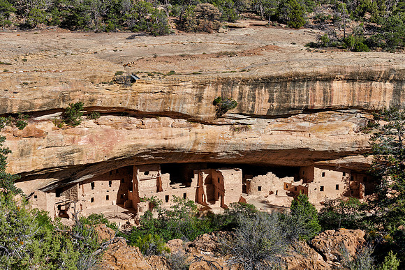 Spruce Tree House, Cliff dwellings in Mesa-Verde-National Park