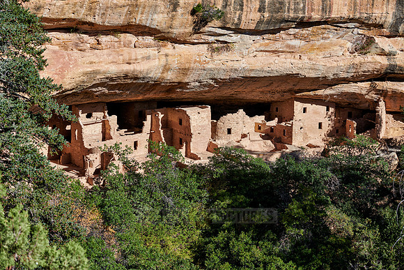 Spruce Tree House, Cliff dwellings in Mesa-Verde-National Park