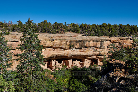 Spruce Tree House, Cliff dwellings in Mesa-Verde-National Park