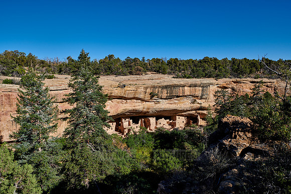 Spruce Tree House, Cliff dwellings in Mesa-Verde-National Park
