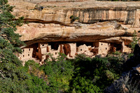 Spruce Tree House, Cliff dwellings in Mesa-Verde-National Park
