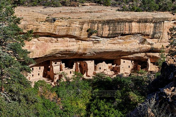 Spruce Tree House, Cliff dwellings in Mesa-Verde-National Park