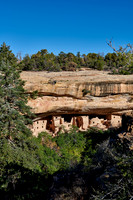 Spruce Tree House, Cliff dwellings in Mesa-Verde-National Park