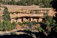 Spruce Tree House, Cliff dwellings in Mesa-Verde-National Park