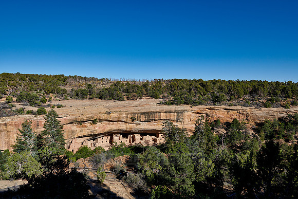 Spruce Tree House, Cliff dwellings in Mesa-Verde-National Park