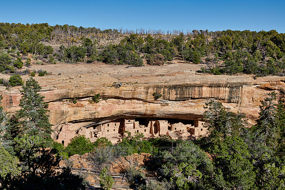 Spruce Tree House, Cliff dwellings in Mesa-Verde-National Park