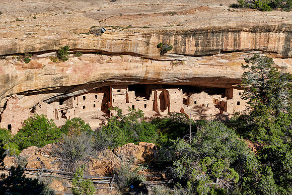 Spruce Tree House, Cliff dwellings in Mesa-Verde-National Park