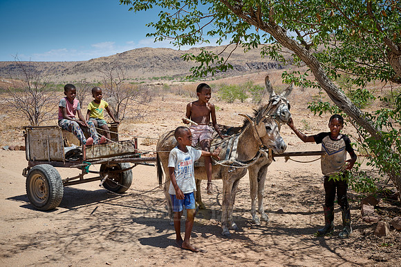 local kids with donkey carriage at Three Stages Petrified Forest