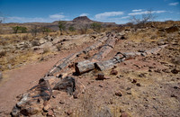 Three Stages Petrified Forest