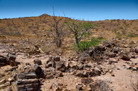 Three Stages Petrified Forest