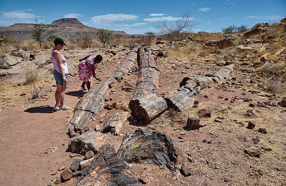tourist with local guide at Three Stages Petrified Forest