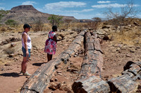 tourist with local guide at Three Stages Petrified Forest