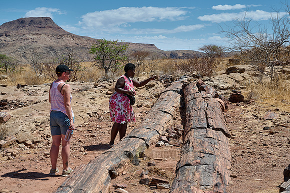 tourist with local guide at Three Stages Petrified Forest
