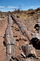 tourist with local guide at Three Stages Petrified Forest