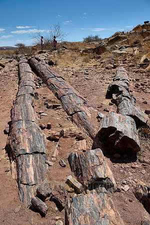 tourist with local guide at Three Stages Petrified Forest