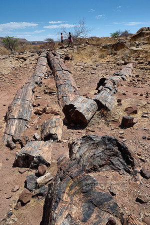 tourist with local guide at Three Stages Petrified Forest
