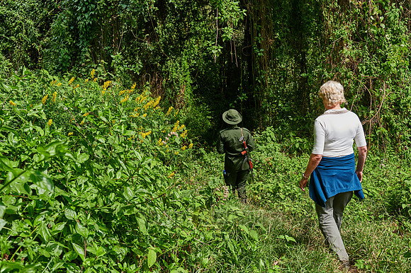 Tourist and Ranger walking through forest down to Lake Empakaai
