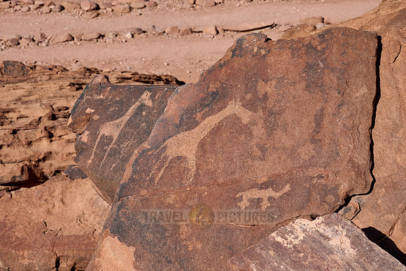 rock engravings of Twyfelfontein