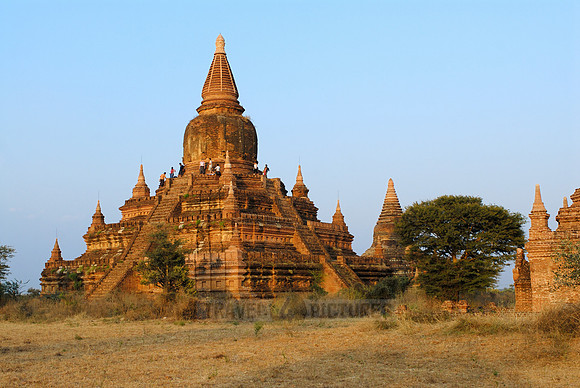 pagodas in the plain