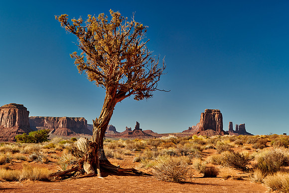 Monument Valley