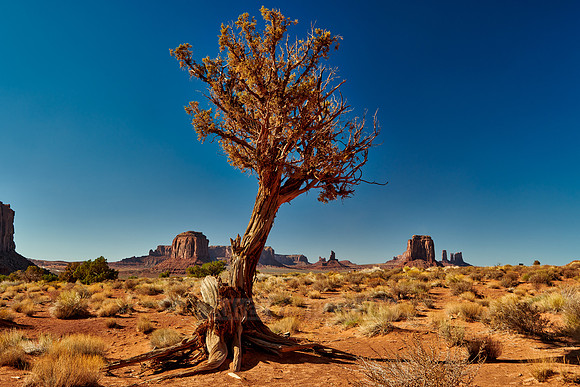 Monument Valley