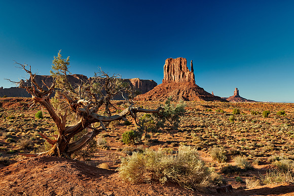 The West Mitten Butte in Monument Valley