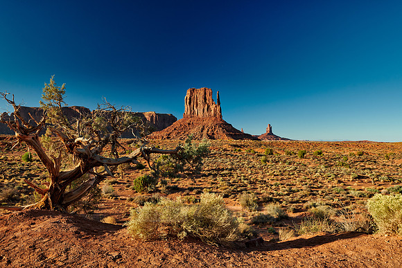 The West Mitten Butte in Monument Valley