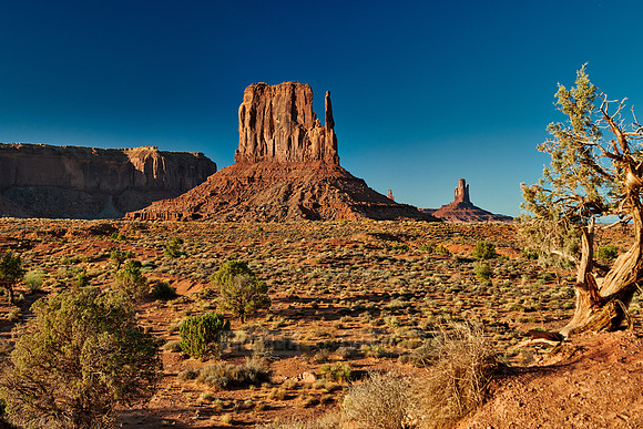 The West Mitten Butte in Monument Valley