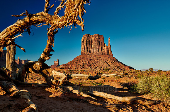 The West Mitten Butte in Monument Valley