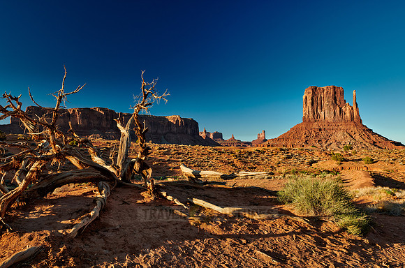 The West Mitten Butte in Monument Valley