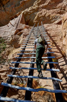 steep ladder to Balcony House, Cliff dwellings in Mesa-Verde-National Park