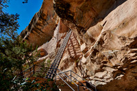 steep ladder to Balcony House, Cliff dwellings in Mesa-Verde-National Park