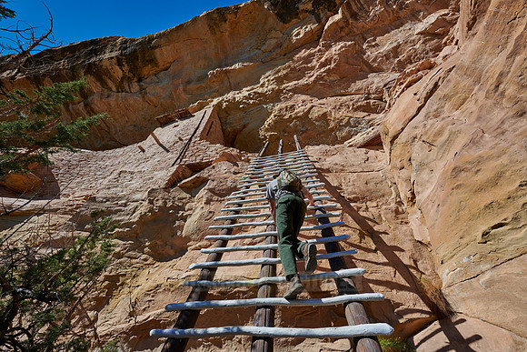 steep ladder to Balcony House, Cliff dwellings in Mesa-Verde-National Park