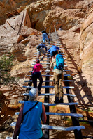 steep ladder to Balcony House, Cliff dwellings in Mesa-Verde-National Park