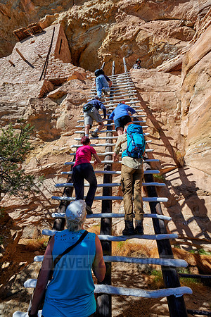 steep ladder to Balcony House, Cliff dwellings in Mesa-Verde-National Park