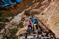 steep ladder to Balcony House, Cliff dwellings in Mesa-Verde-National Park