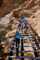 steep ladder to Balcony House, Cliff dwellings in Mesa-Verde-National Park