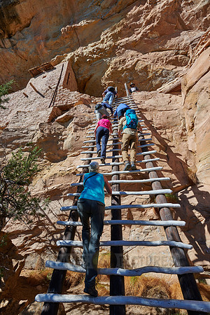 steep ladder to Balcony House, Cliff dwellings in Mesa-Verde-National Park