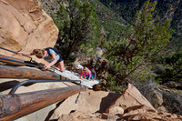 steep ladder to Balcony House, Cliff dwellings in Mesa-Verde-National Park