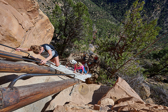 steep ladder to Balcony House, Cliff dwellings in Mesa-Verde-National Park