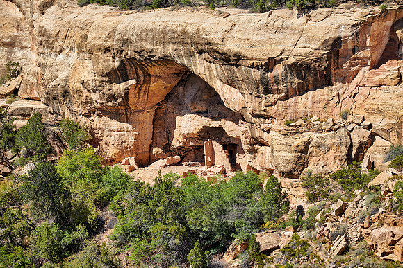Cliff dwellings in Mesa-Verde-National Park