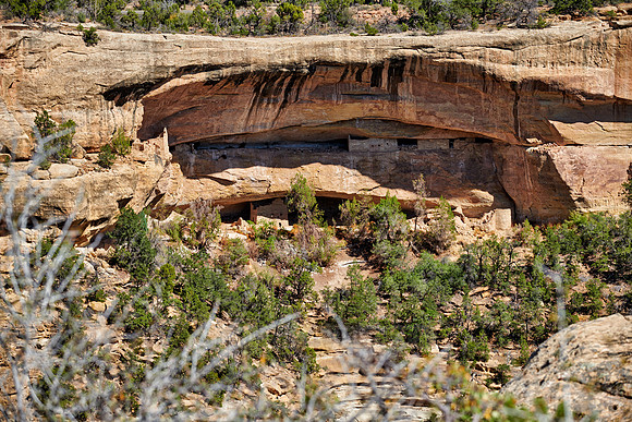 Cliff dwellings in Mesa-Verde-National Park