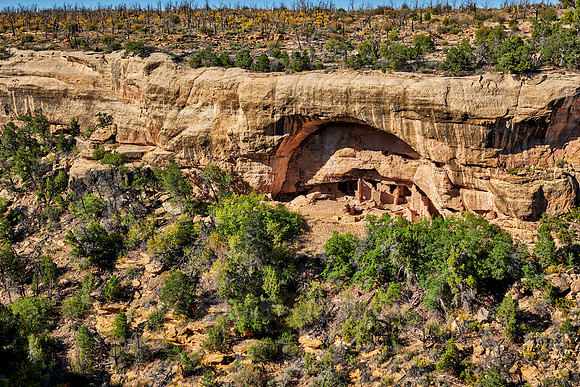 Oak Tree House, Cliff dwellings in Mesa-Verde-National Park