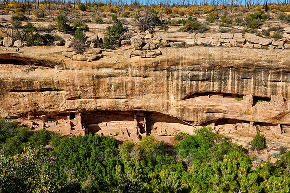 Cliff dwellings in Mesa-Verde-National Park